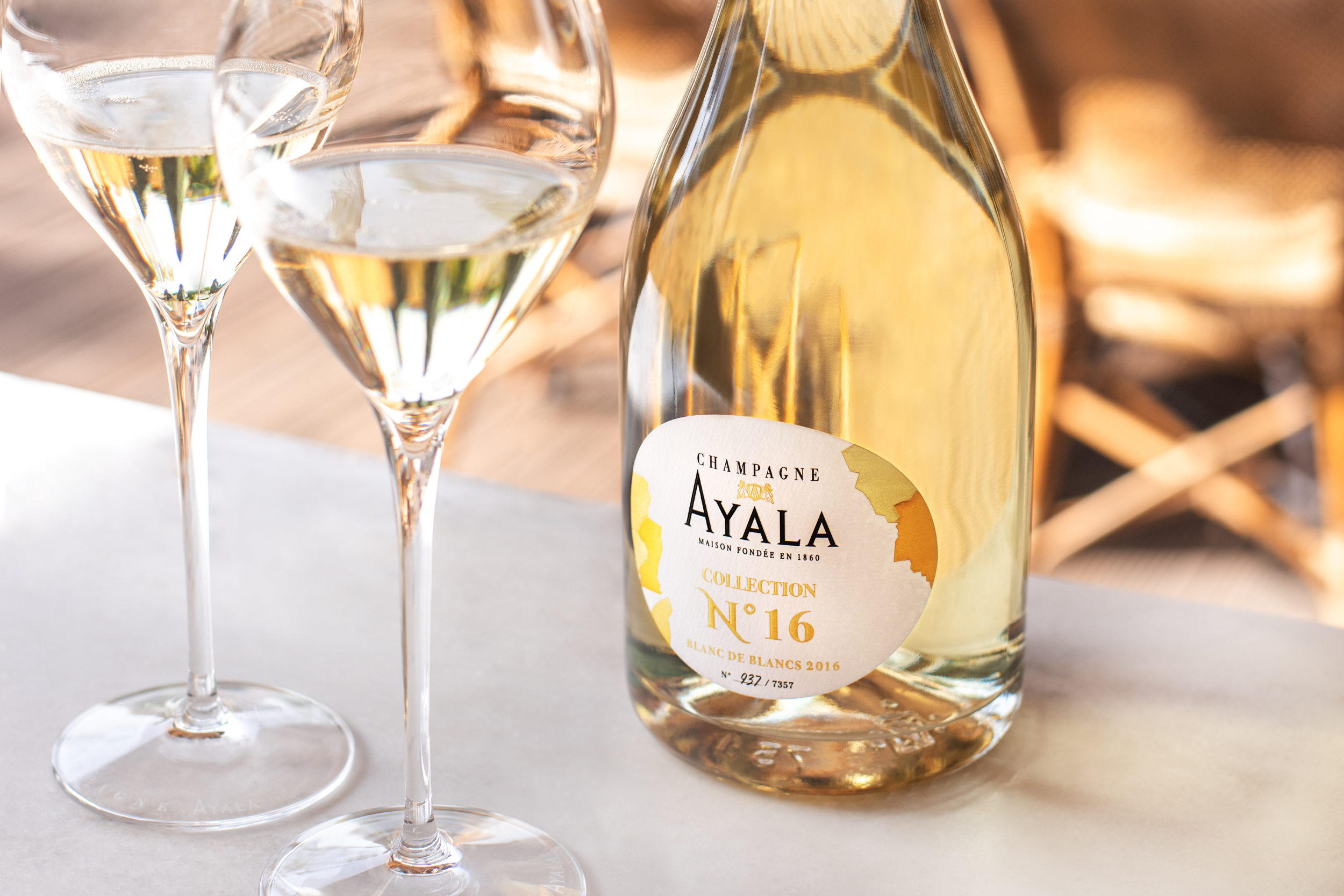 AYALA Collection N°16