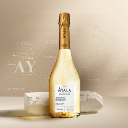 AYALA Collection N°18