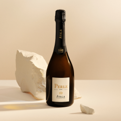 Ayala Perle 2015